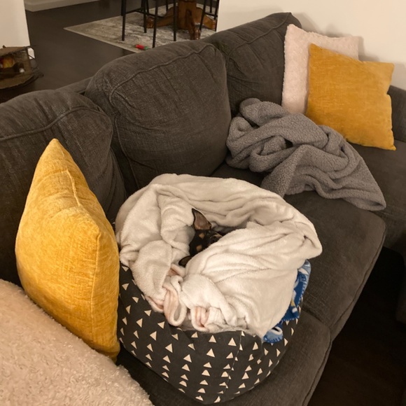 Meet your Posher, Katie - Picture 3 of 5